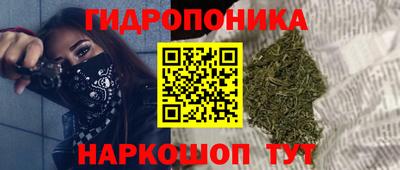 шишки Туймазы