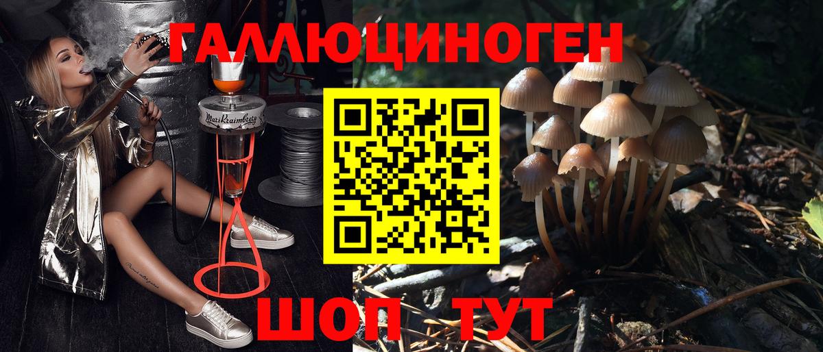 Псилоцибиновые грибы Psilocybe Нижний Тагил