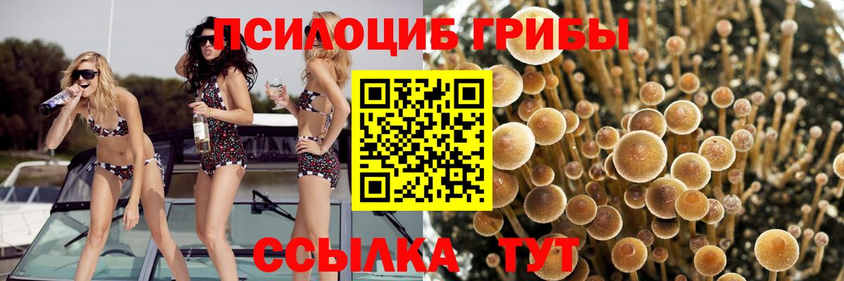 Нижний Тагил  Галлюциногенные грибы Magic Shrooms  Псилоцибиновые грибы Cubensis  Вход с VPN 